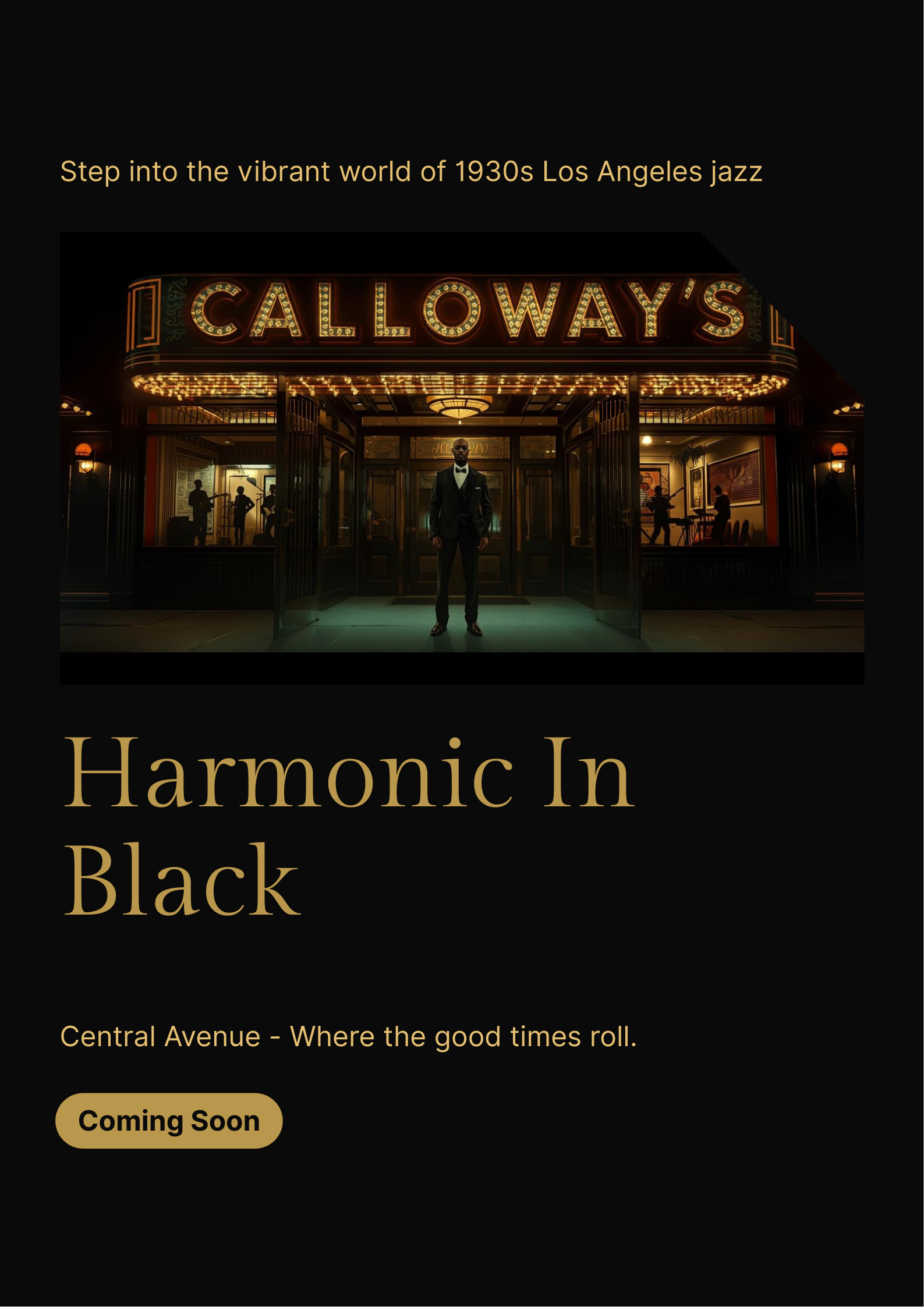 Harmonic in Black poster